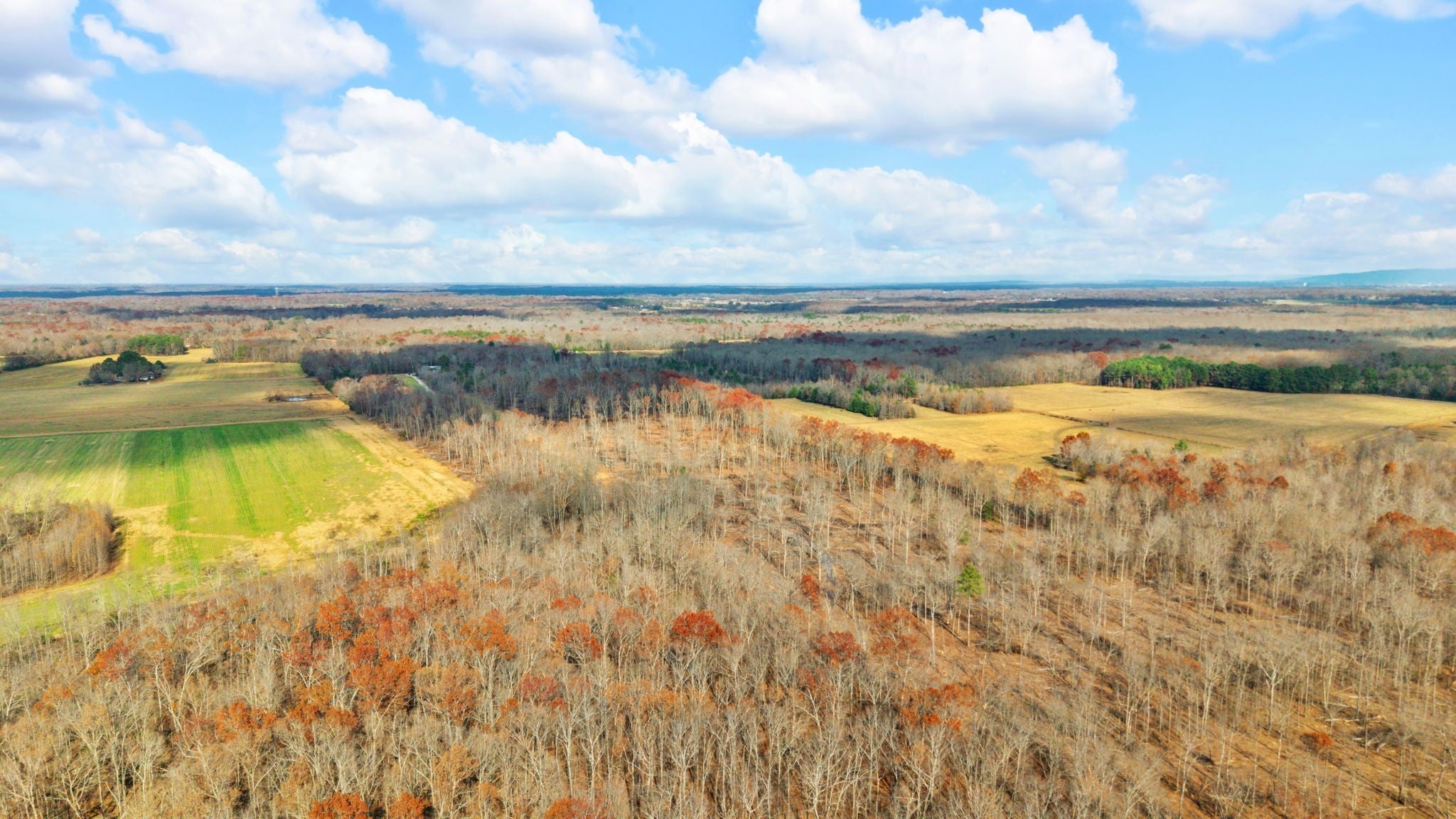 Photo of Listing #3118886