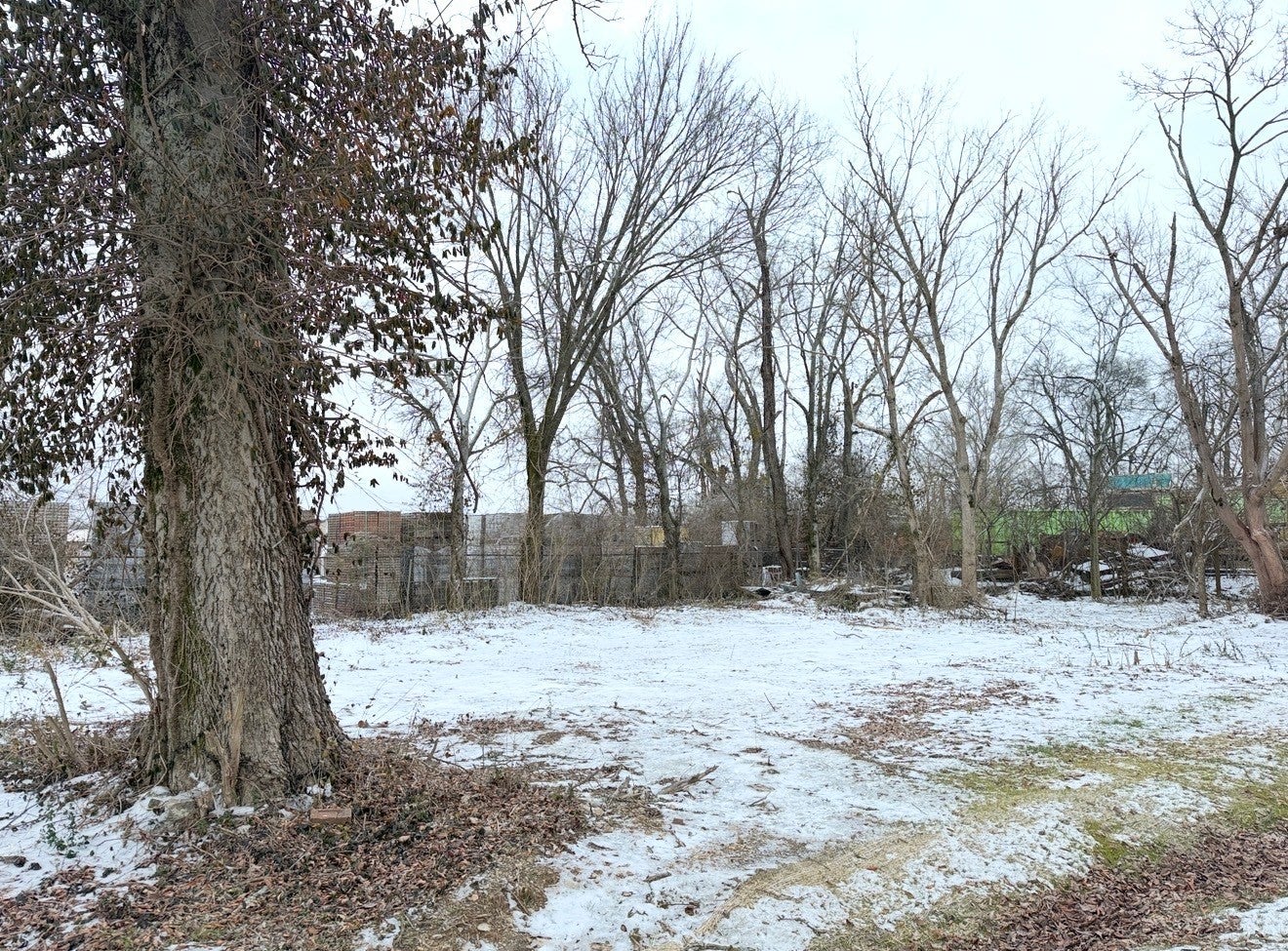 Photo of Listing #3118965