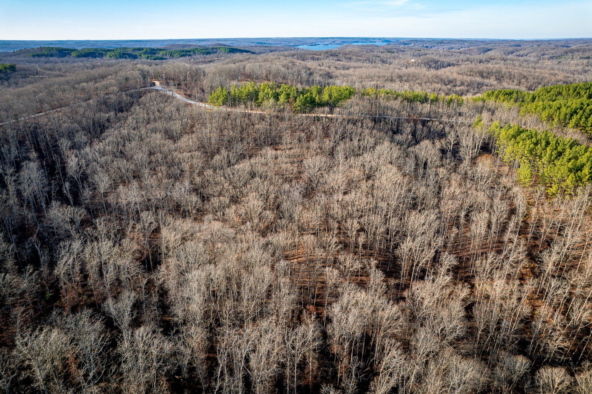 Photo of Listing #3118968