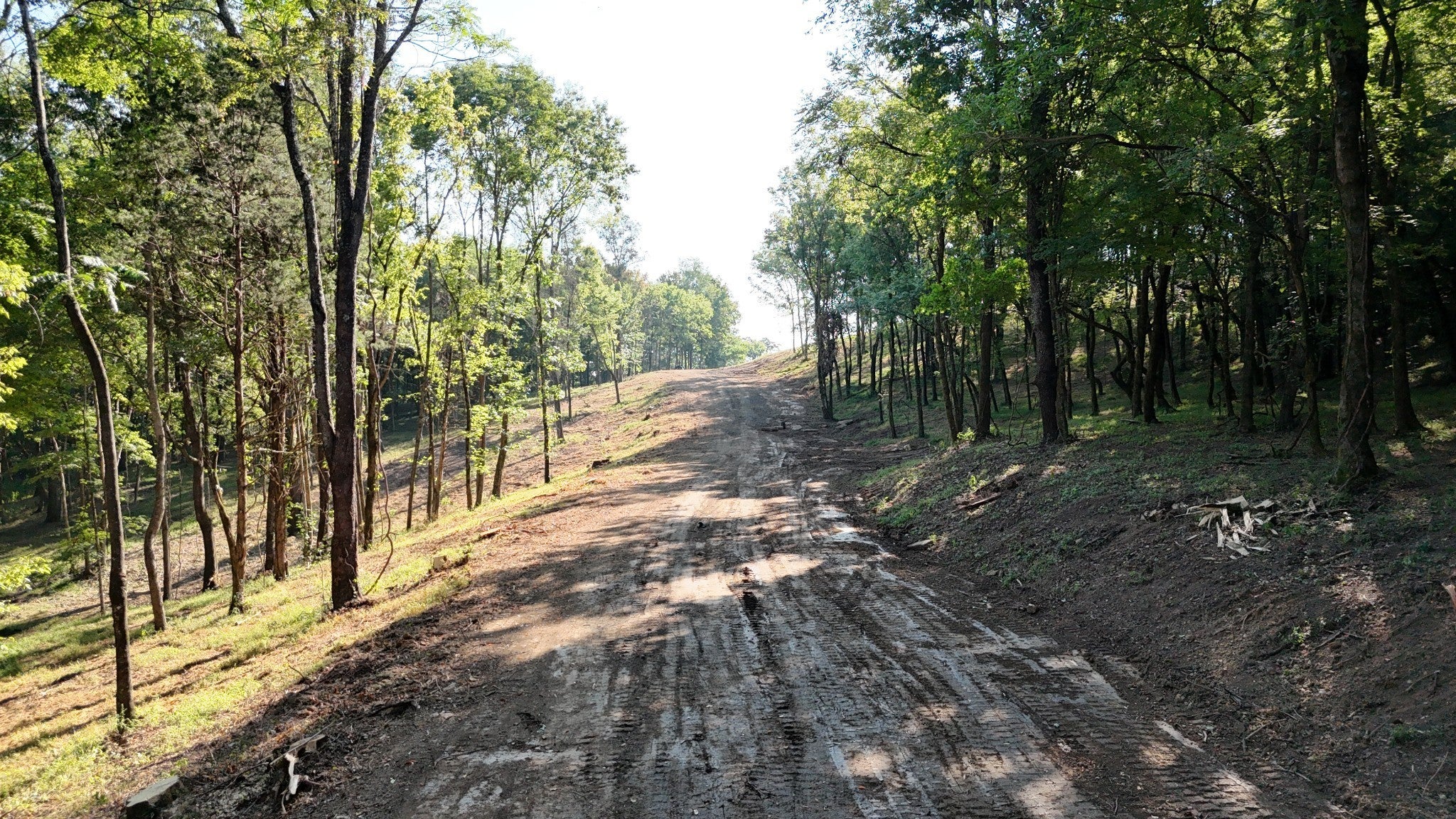 Photo of Listing #3119306