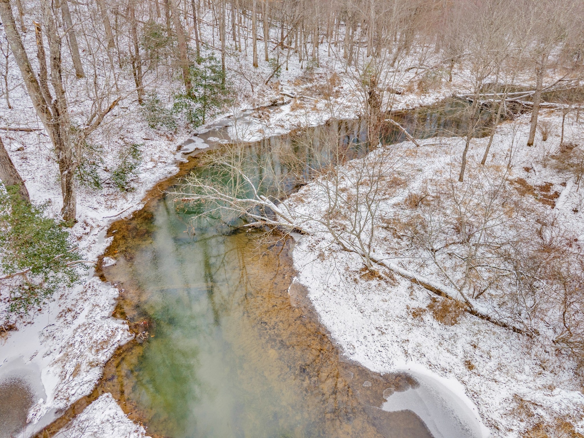 Photo of Listing #3120099