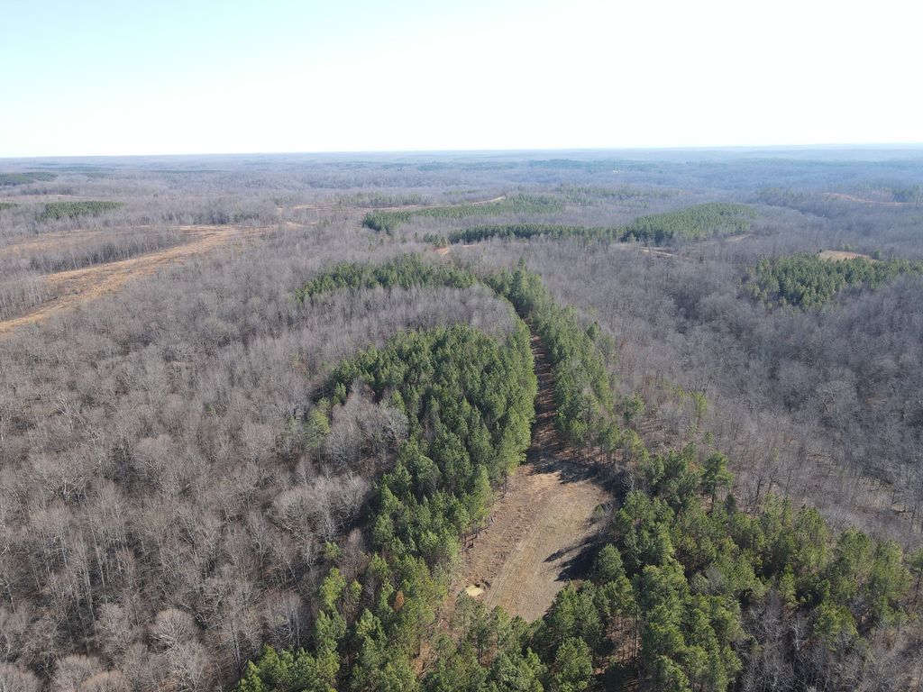0 North Fork, Stewart