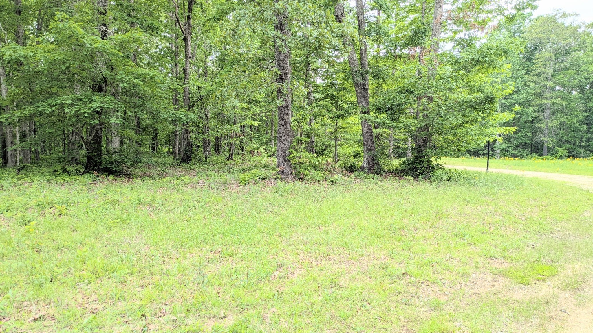 Photo of Listing #3121393