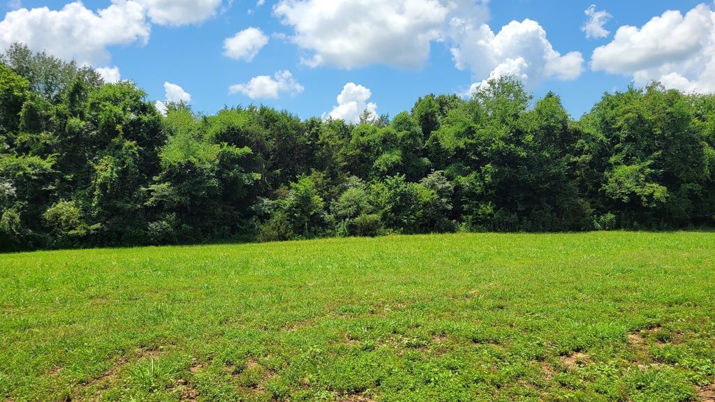 5 Mount Lebanon Church Rd, Shelbyville
