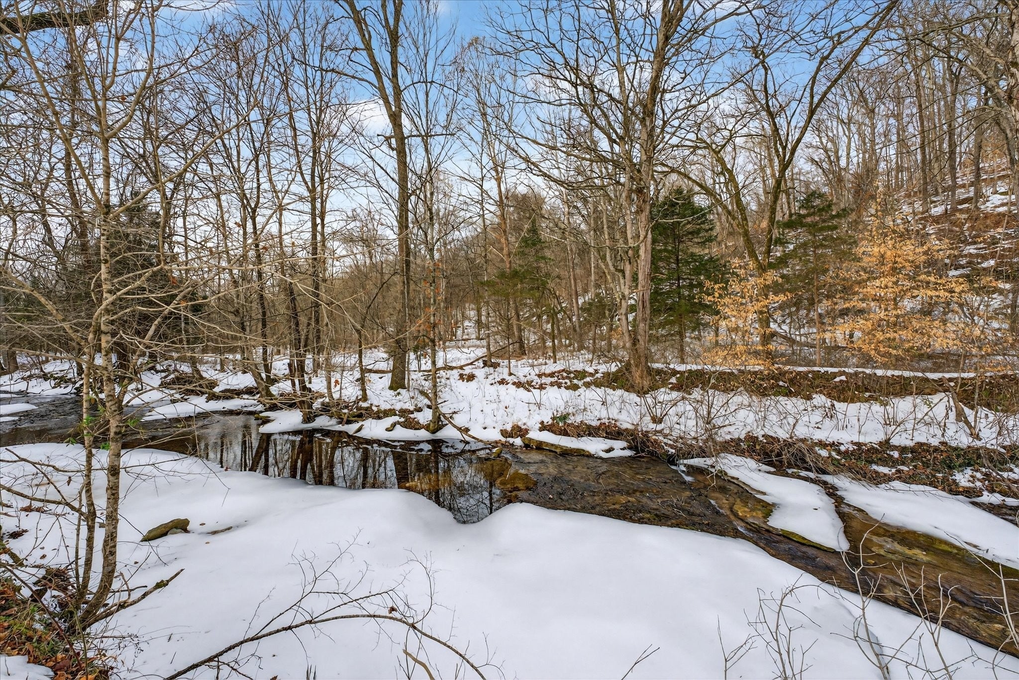 Photo of Listing #3121839