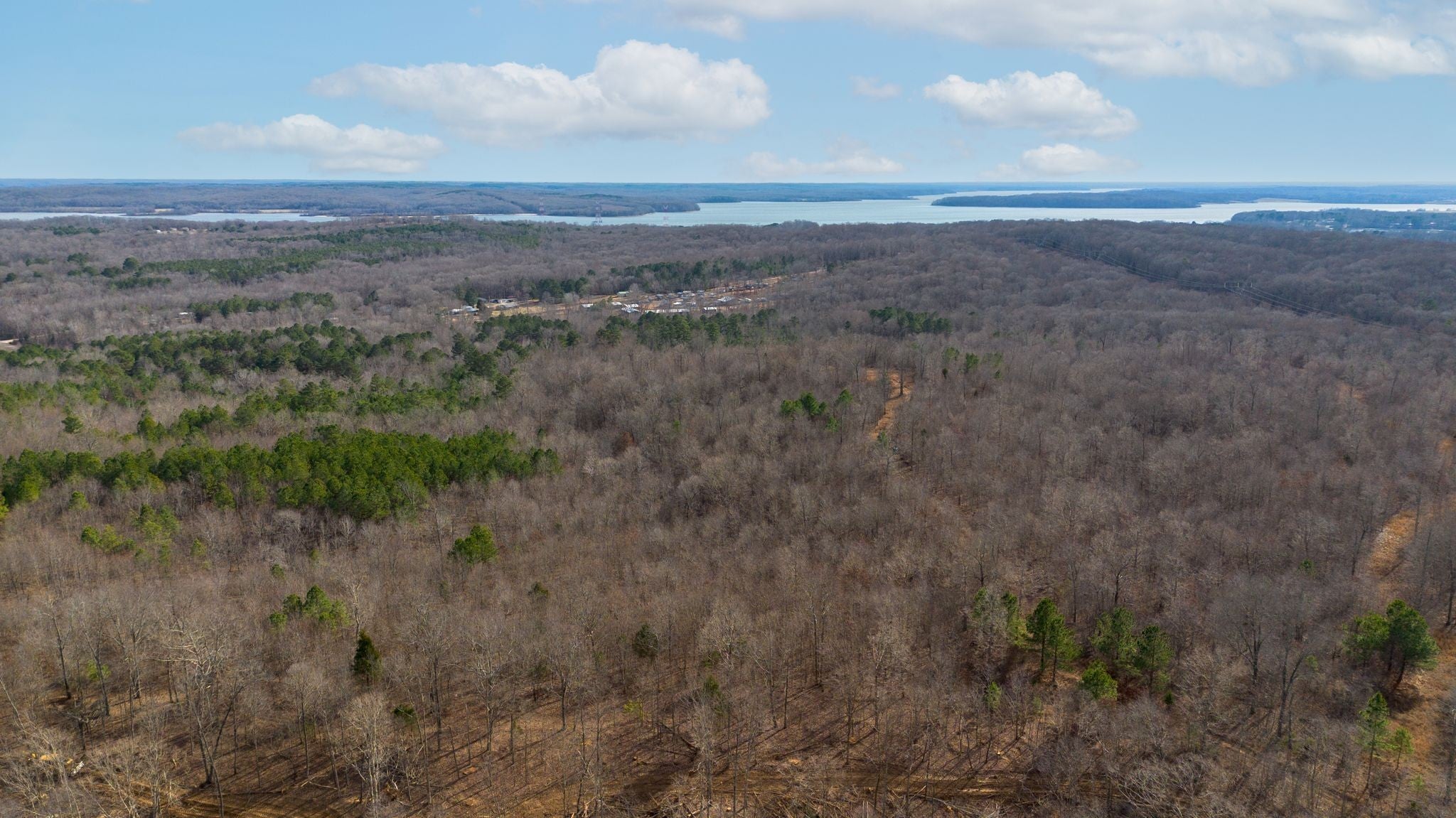 Photo of Listing #3122071