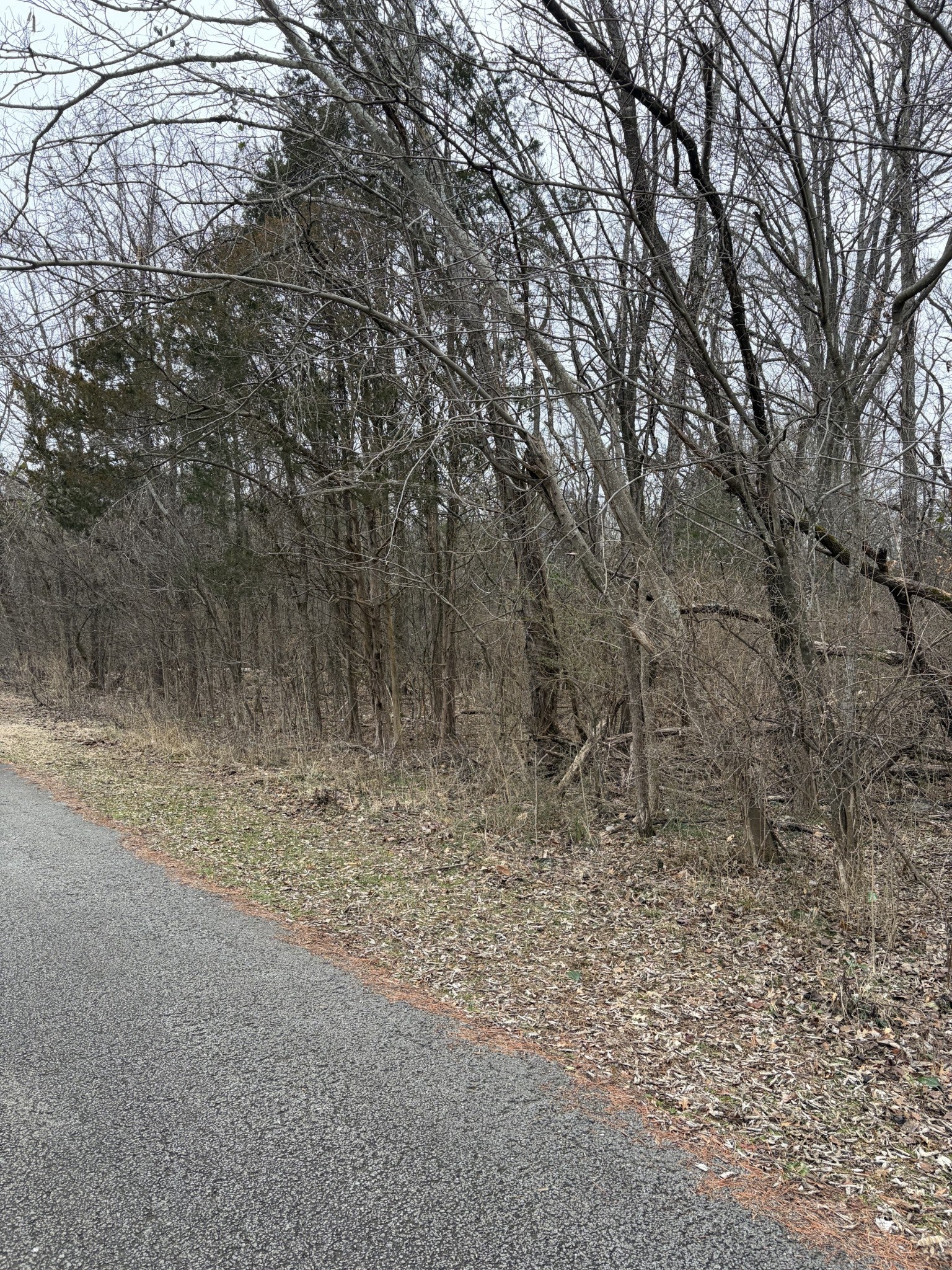 Photo of Listing #3122235