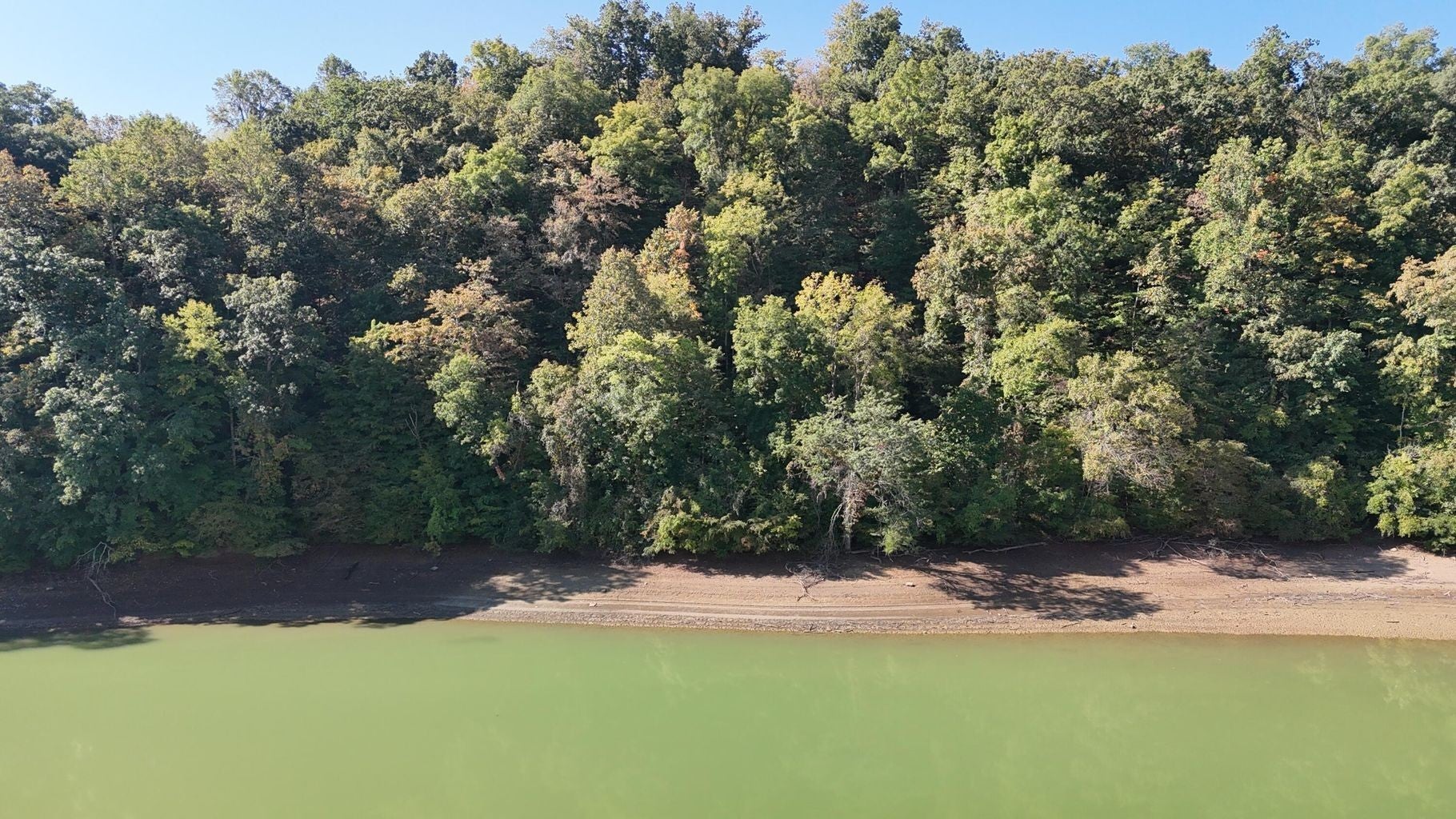 Photo of Listing #3122292