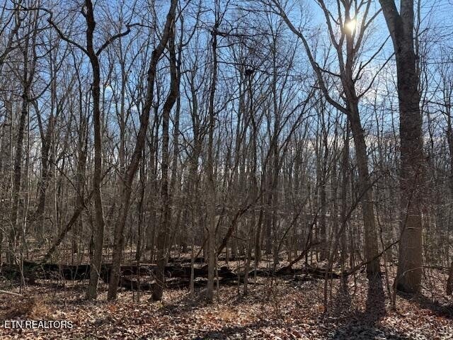 Photo of Listing #3122330