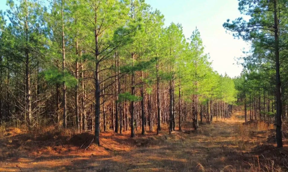 Photo of Listing #3122512