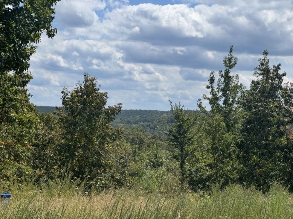 0 Richland Ridge Rd, Waverly