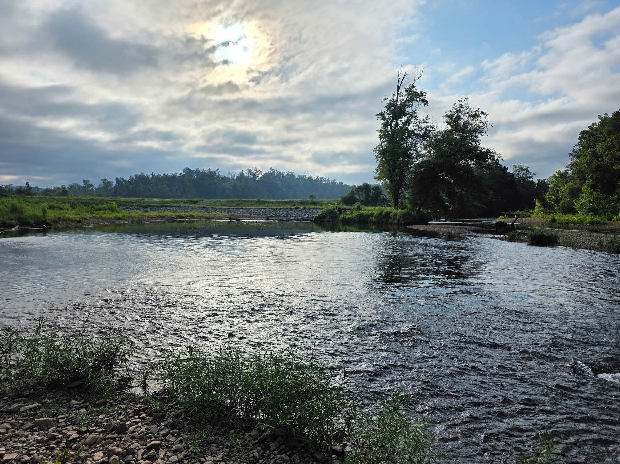 Photo of Listing #3122981