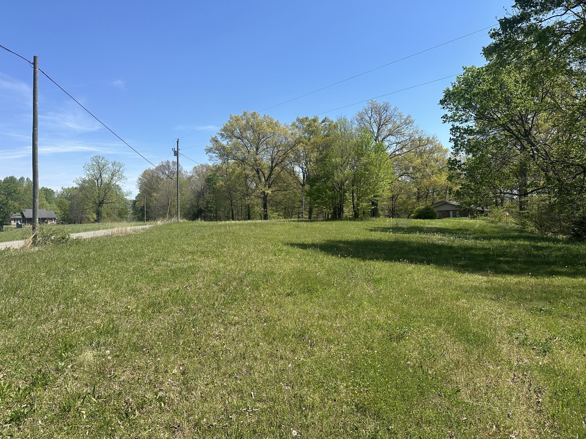 Photo of Listing #3123114