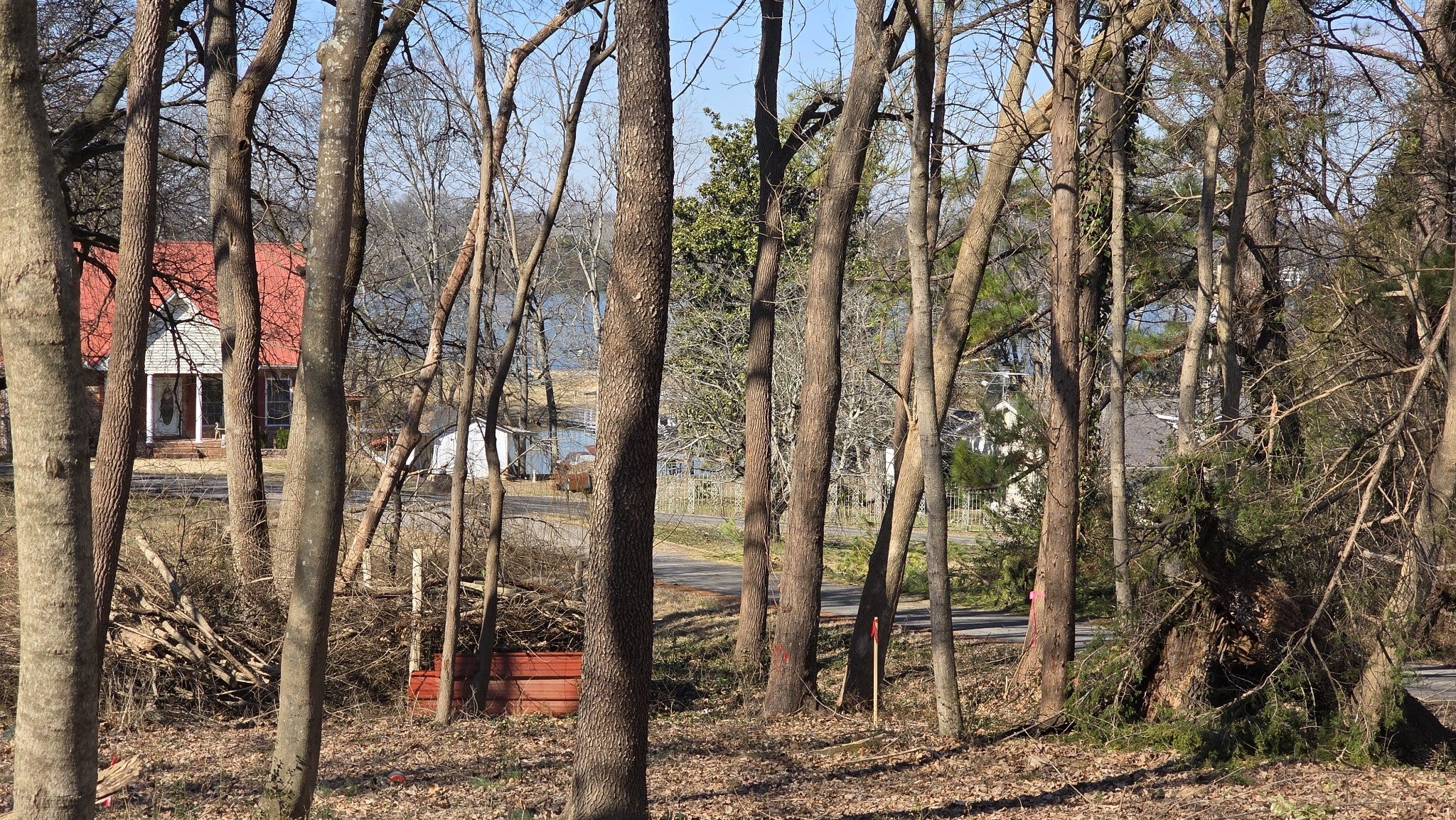 Photo of Listing #3123127