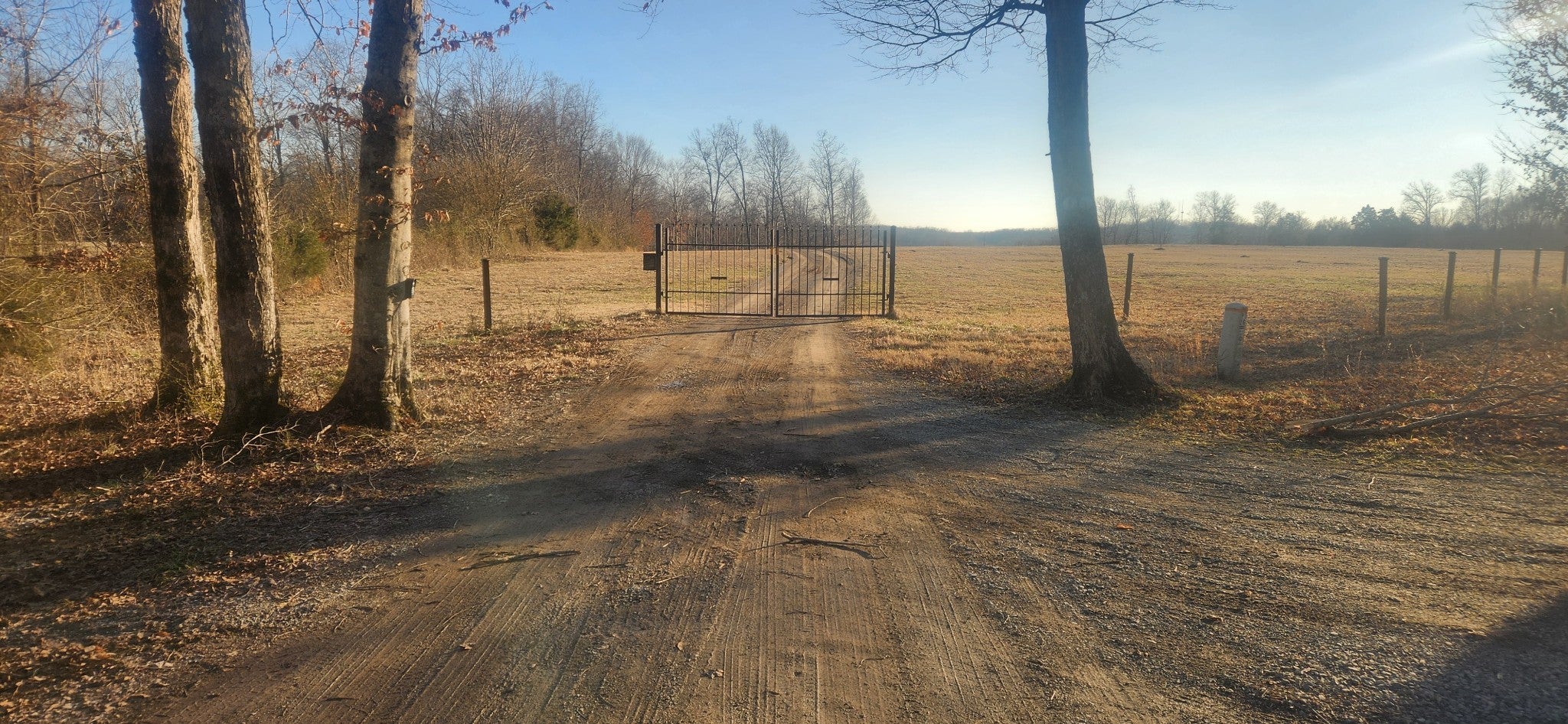 Photo of Listing #3123152