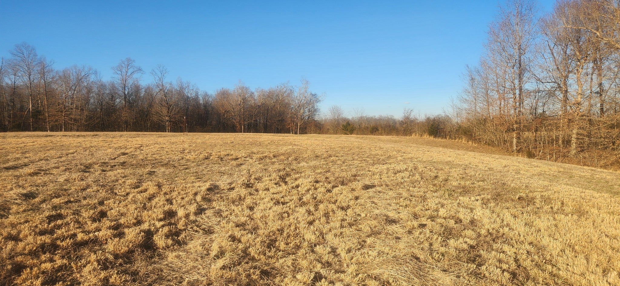 Photo of Listing #3123152