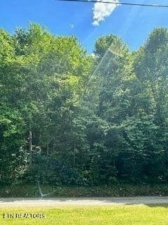 Photo of Listing #3123326