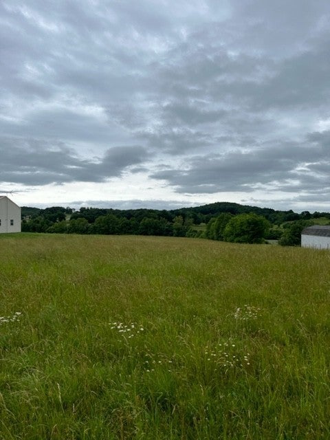 Photo of Listing #3123341