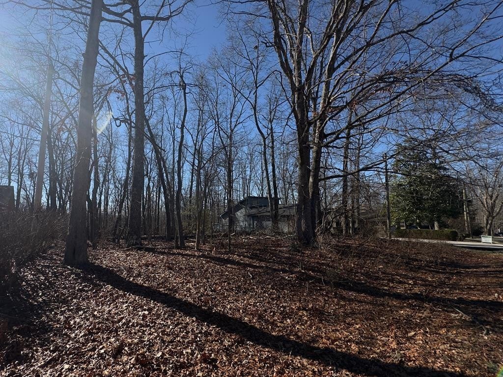 Photo of Listing #3123668