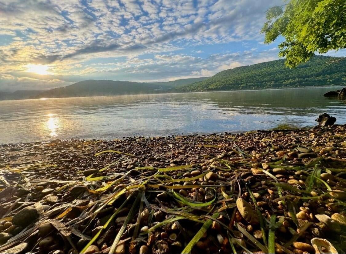 Photo of Listing #3123691