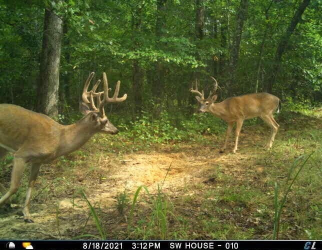 Photo of Listing #3123712