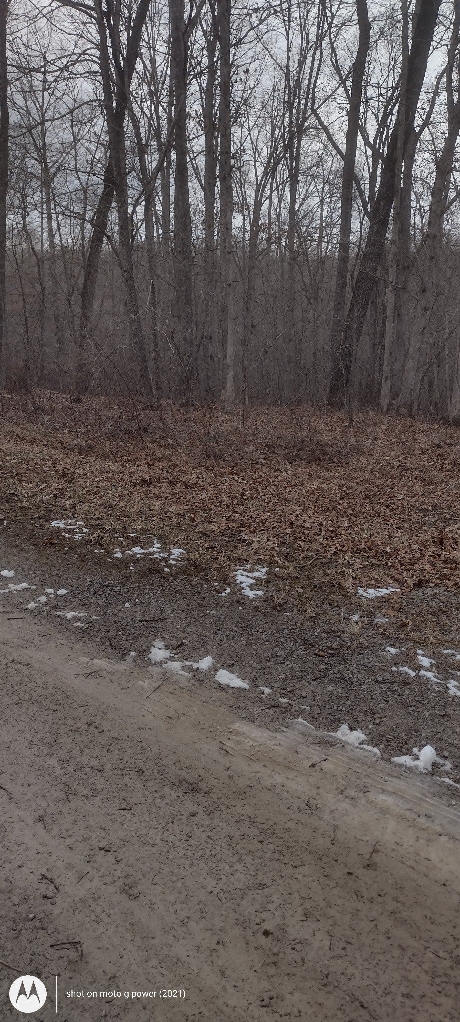 Photo of Listing #3123717