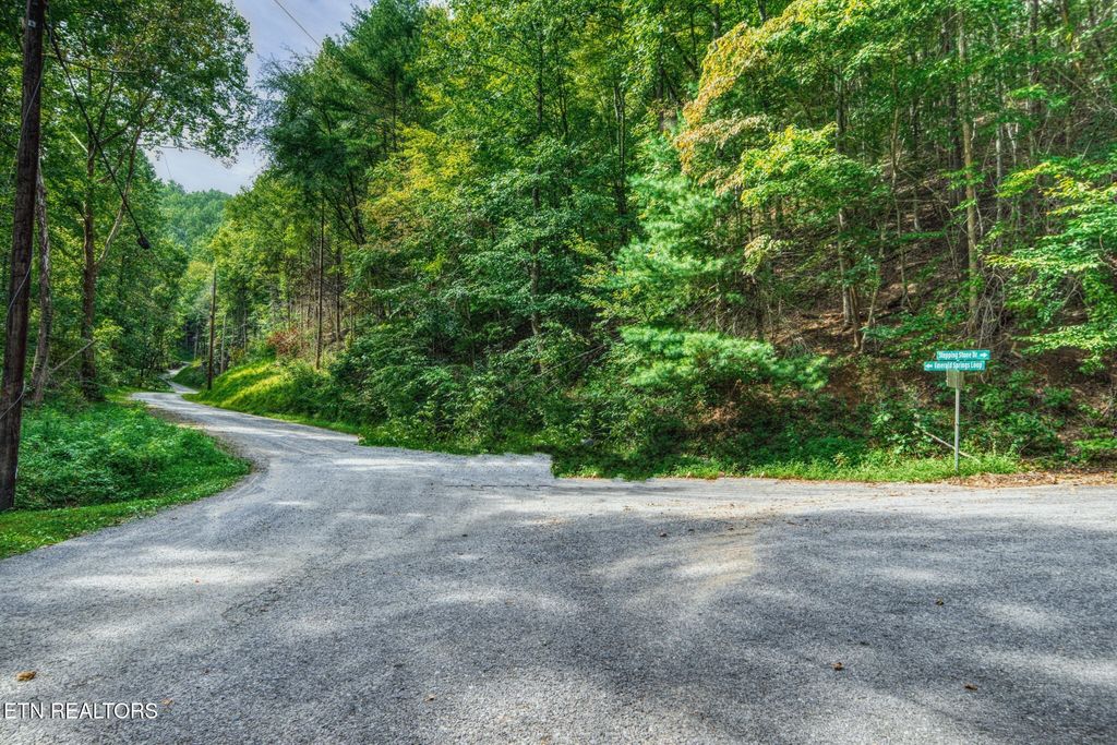0 Stepping Stone Drive, Sevierville