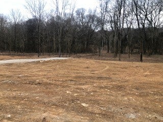 Photo for MLS 3123852 in 0 Murphy Lane Columbia, TN - 38401