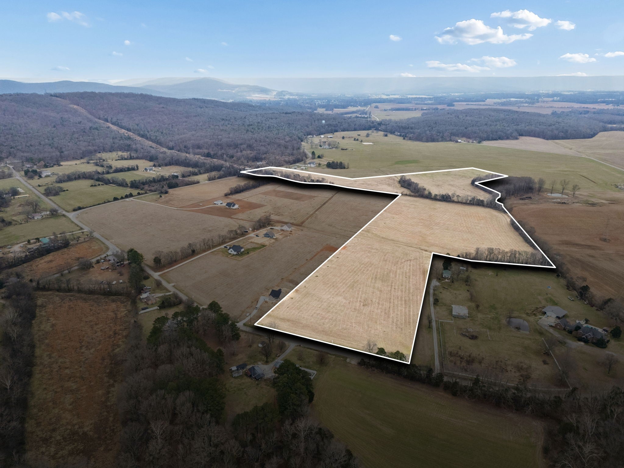 Photo of Listing #3124404