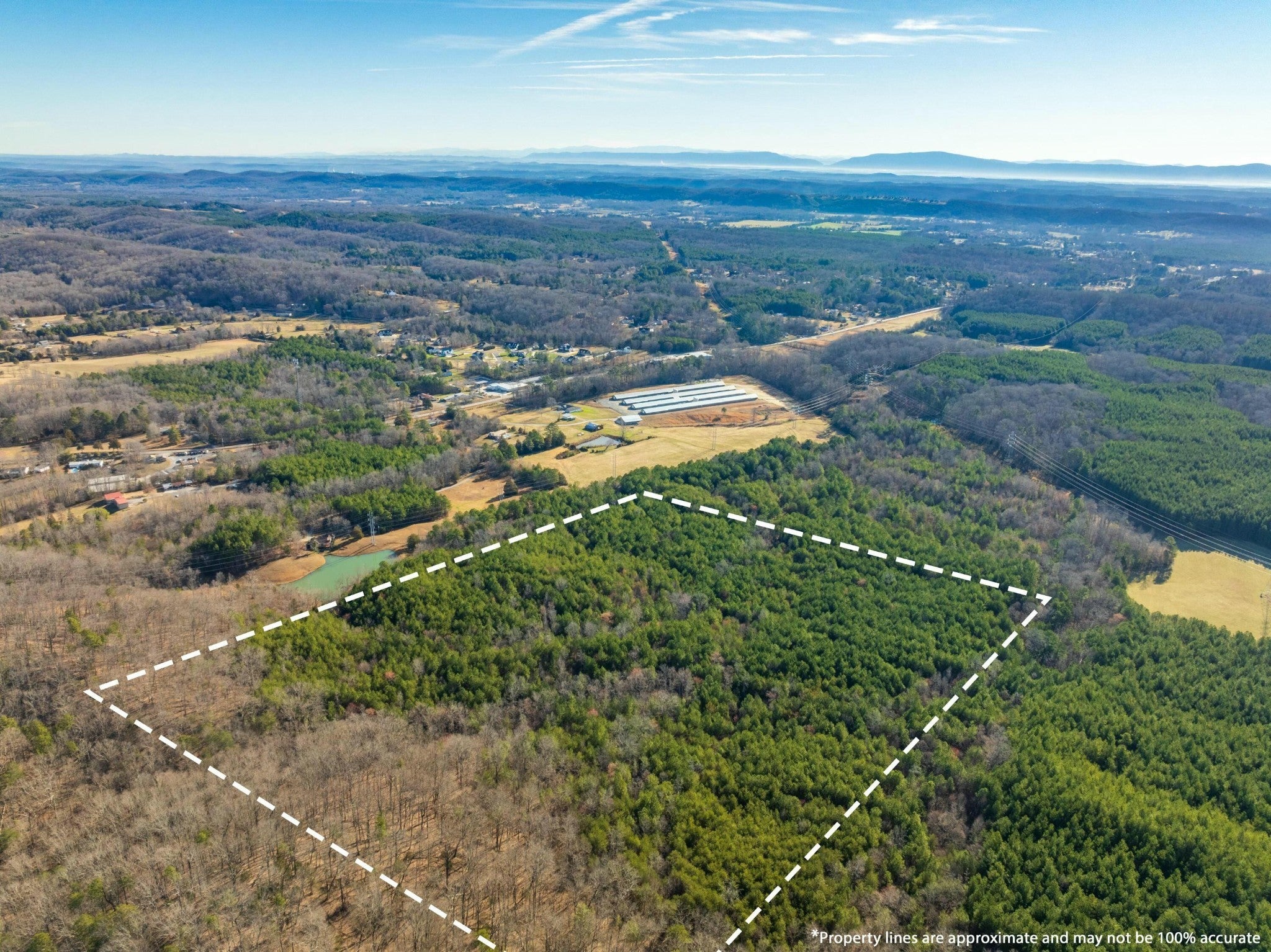 Photo of Listing #3124656