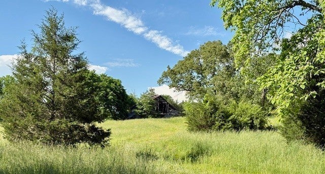 Photo of Listing #3127769