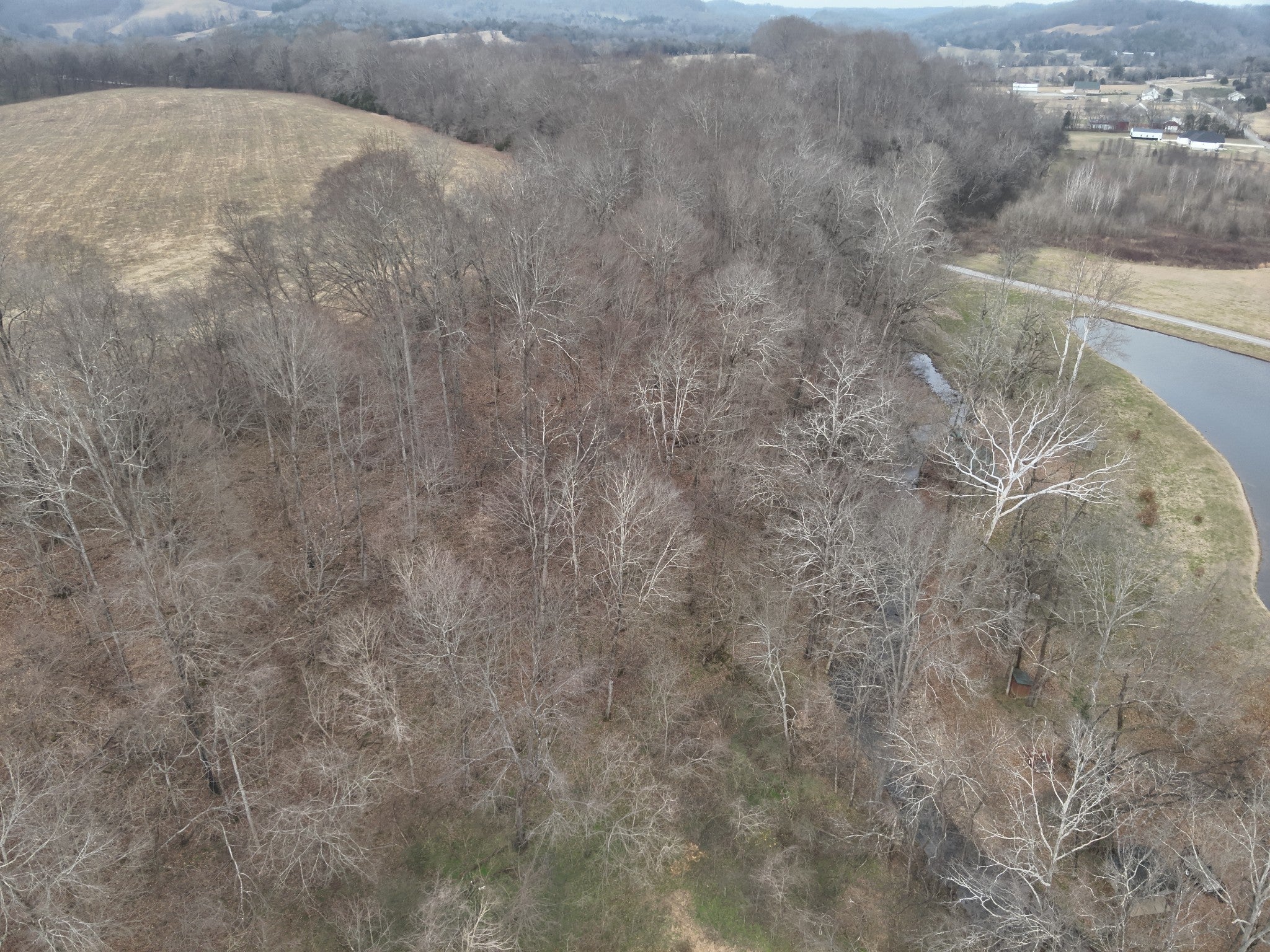 Photo of Listing #3127836