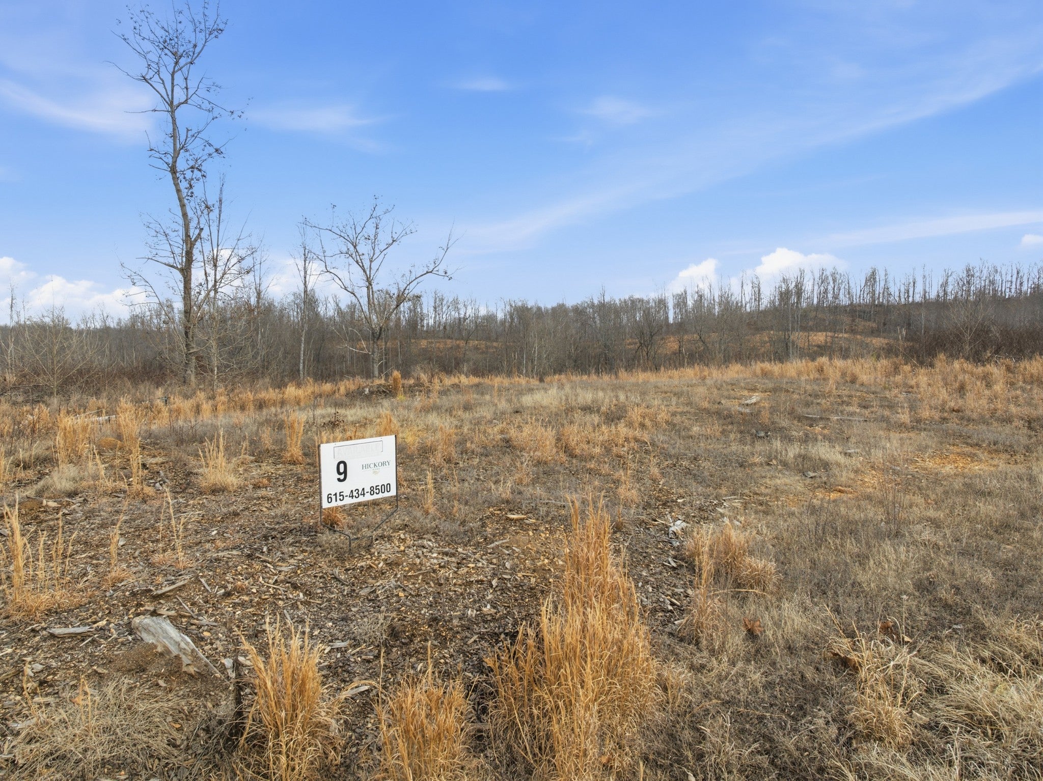 Photo of Listing #3128056