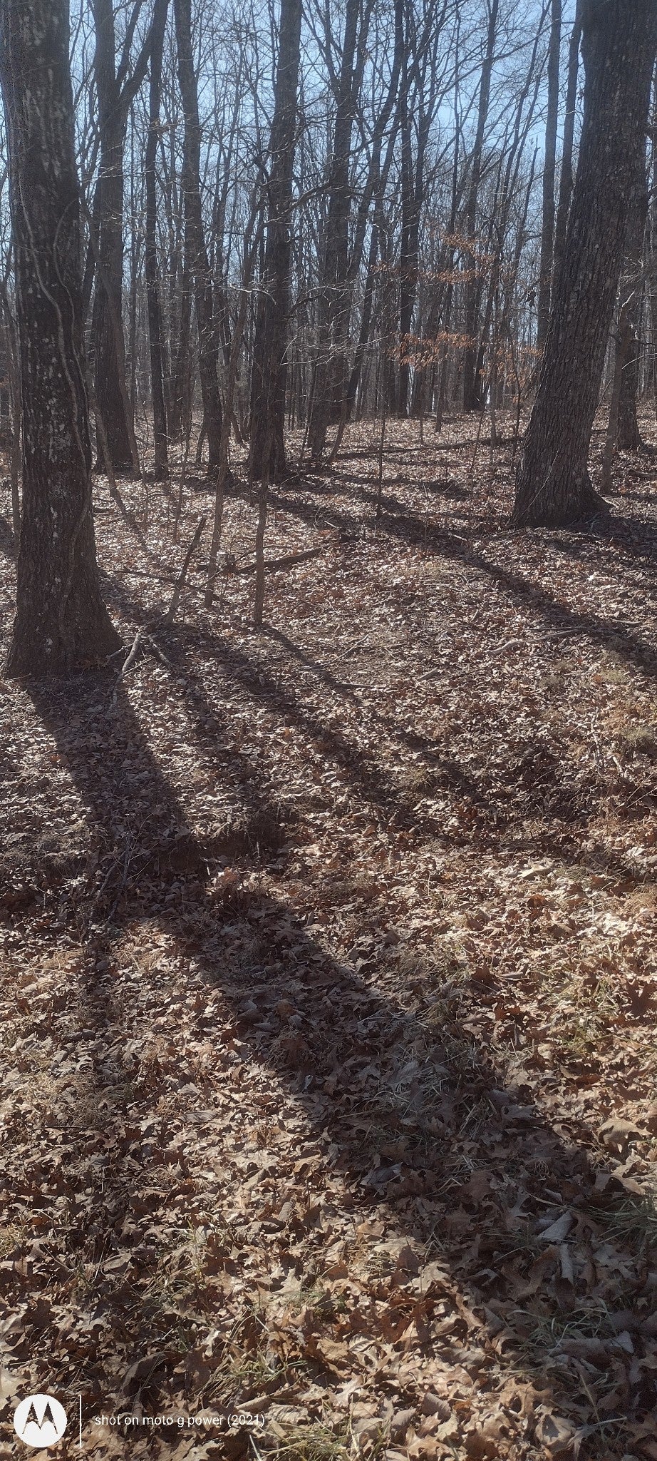 Photo of Listing #3128443