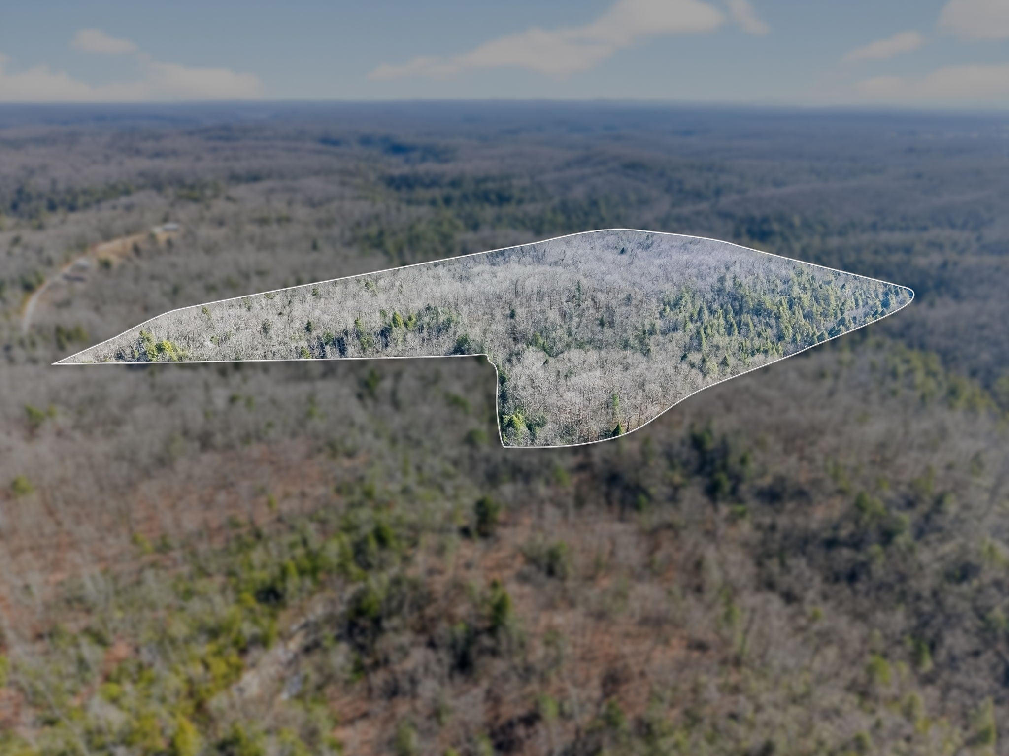 Photo of Listing #3128589