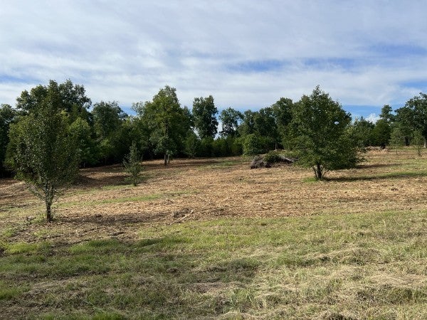 Photo of Listing #3128619