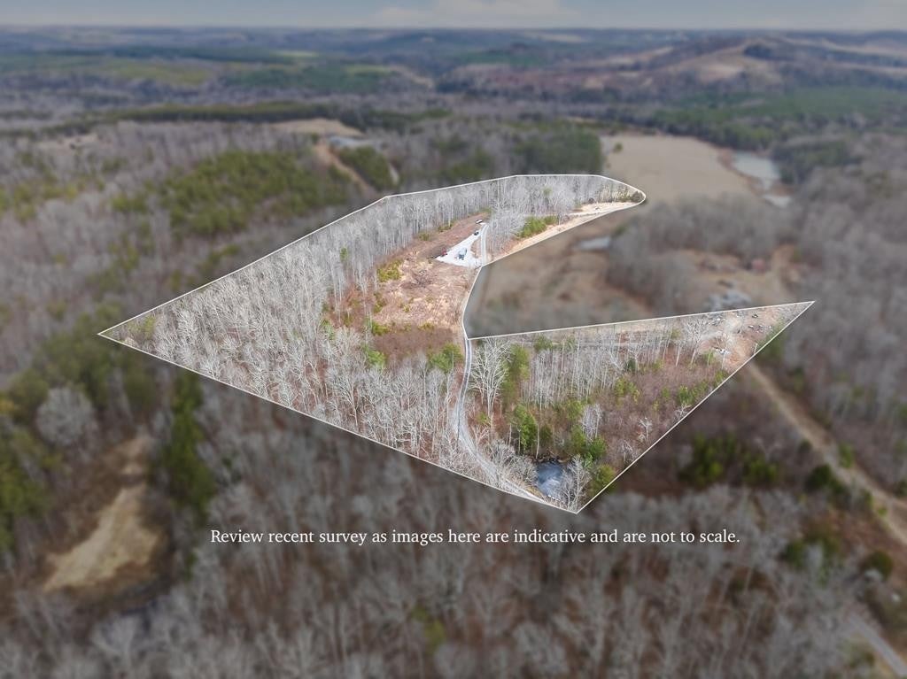 Photo of Listing #3128665