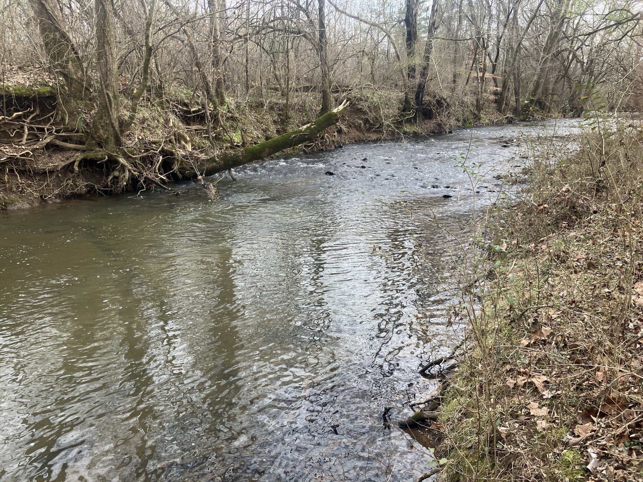 Photo of Listing #3128719