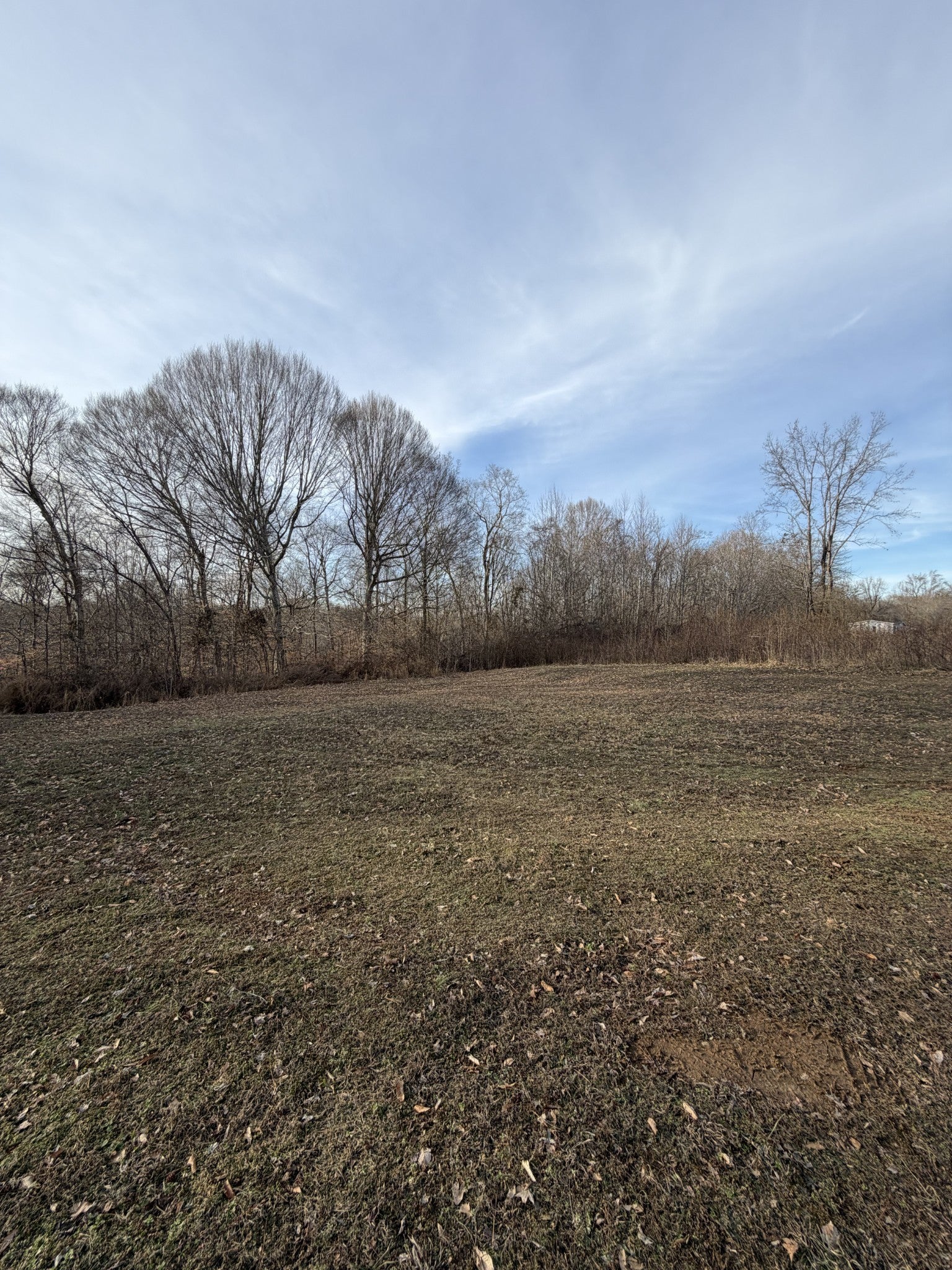 Photo of Listing #3128753