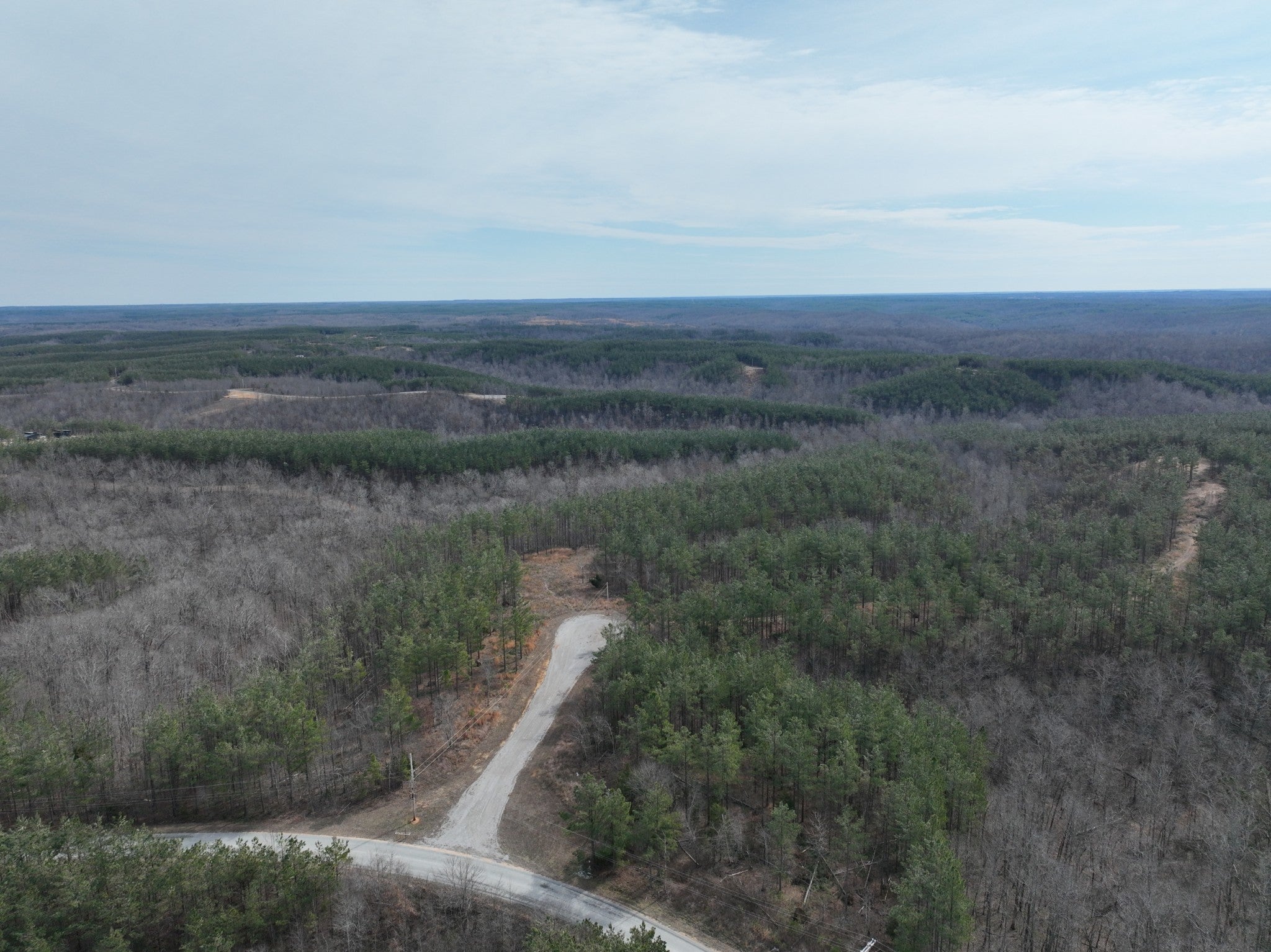 Photo of Listing #3128899