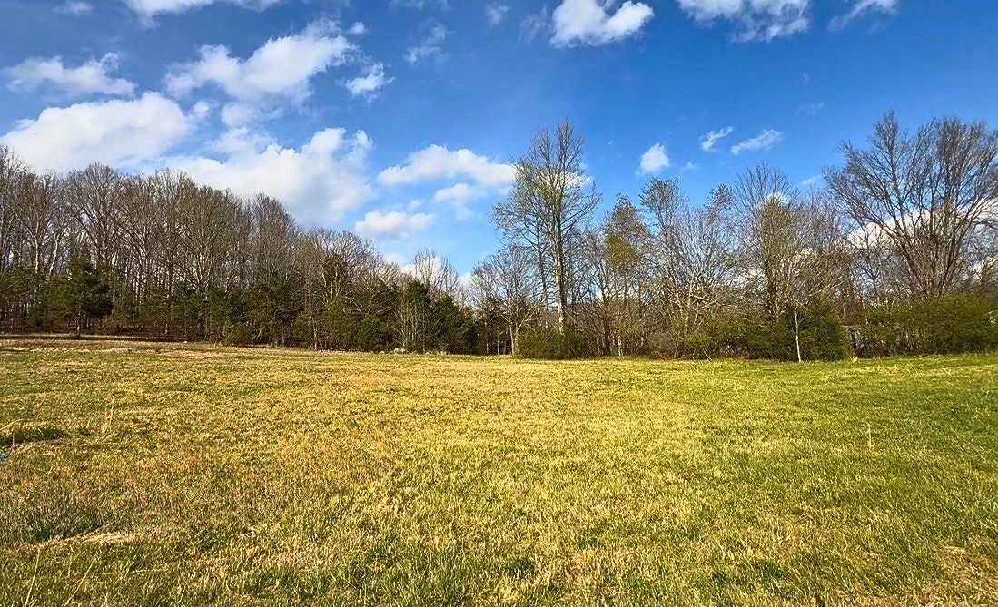 Photo of Listing #3129084