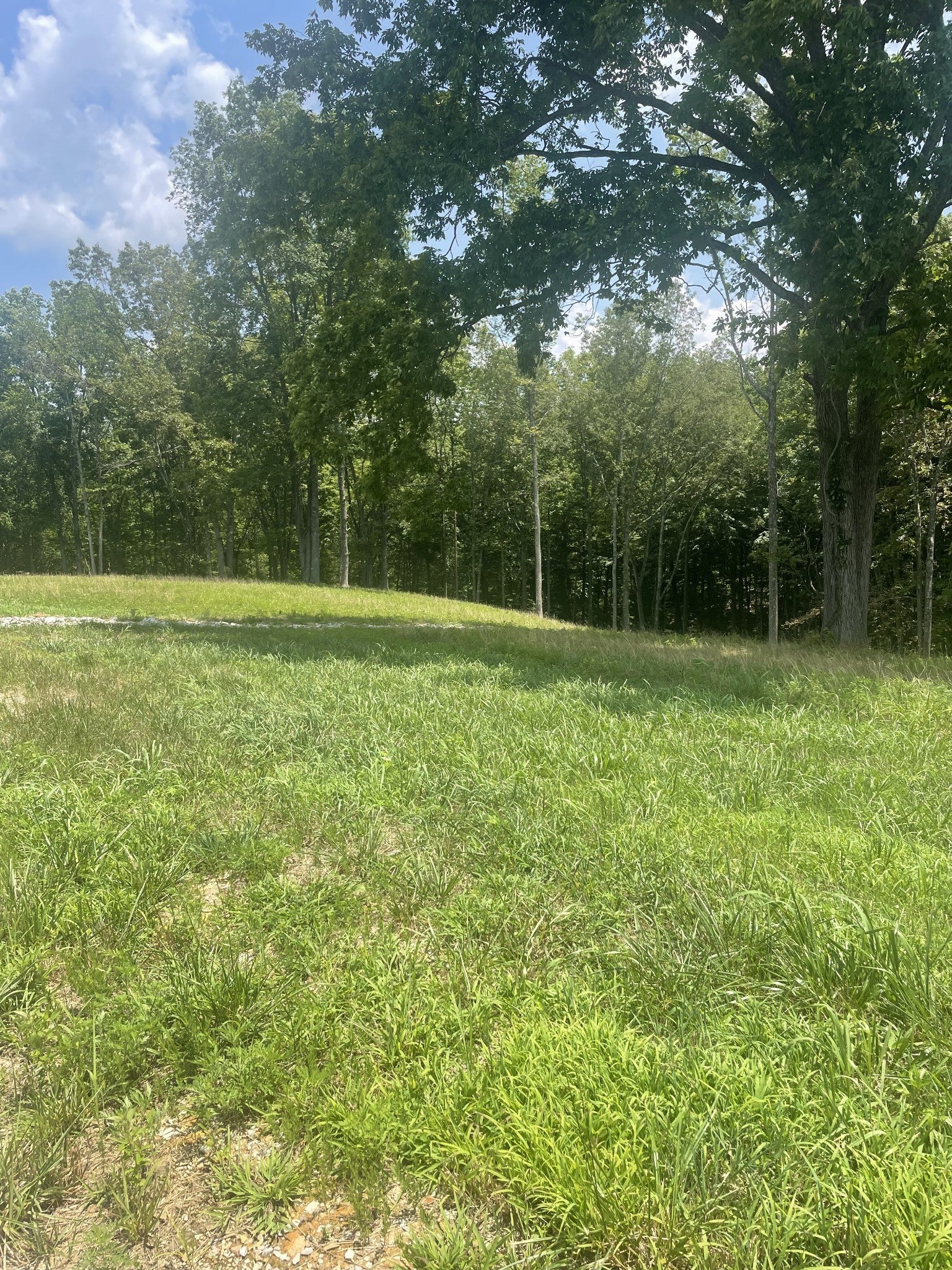 Photo of Listing #3129091