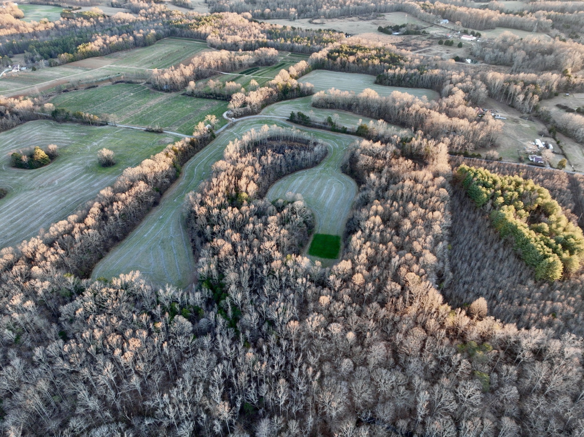 Photo of Listing #3129345