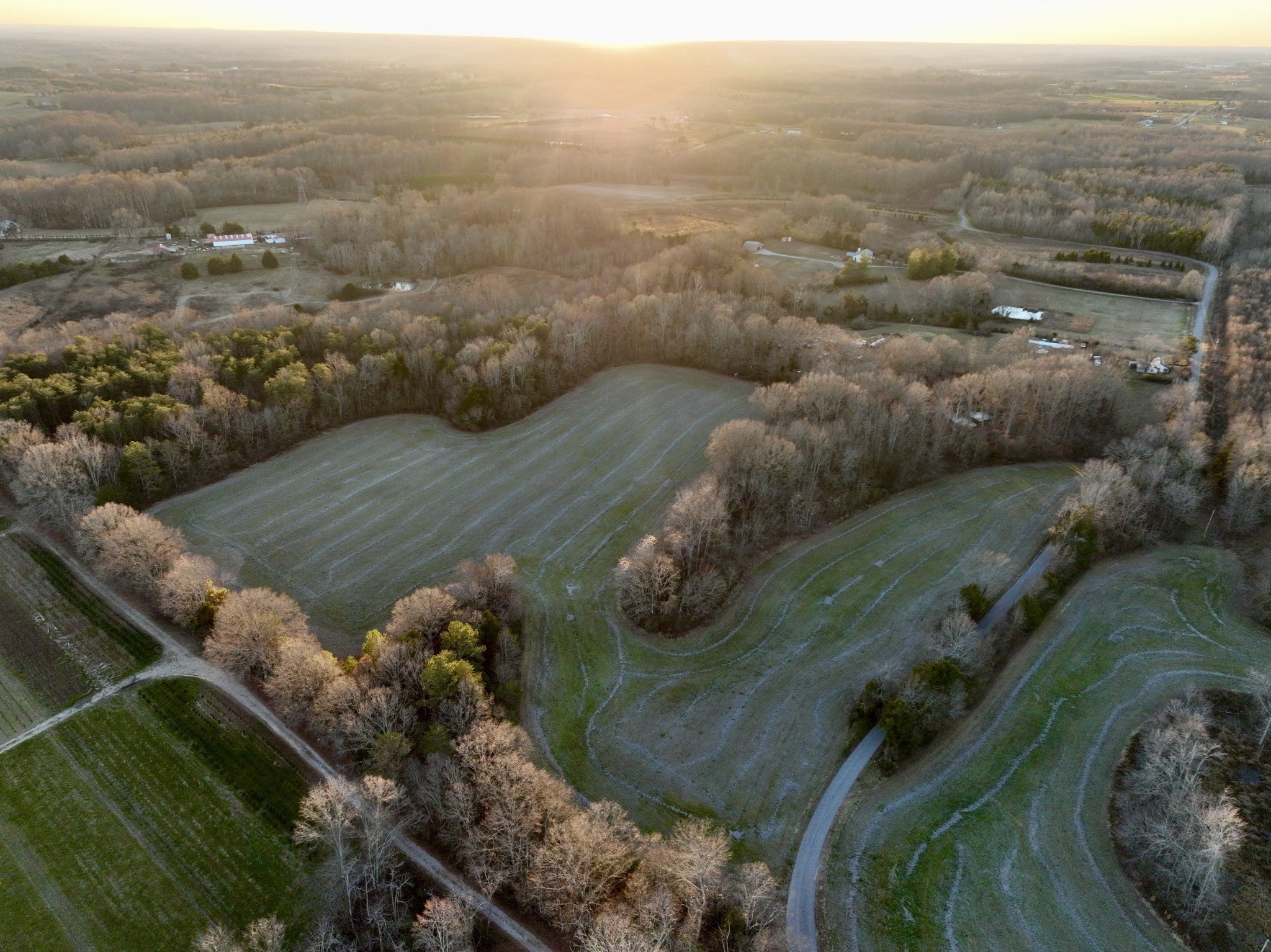 Photo of Listing #3129389