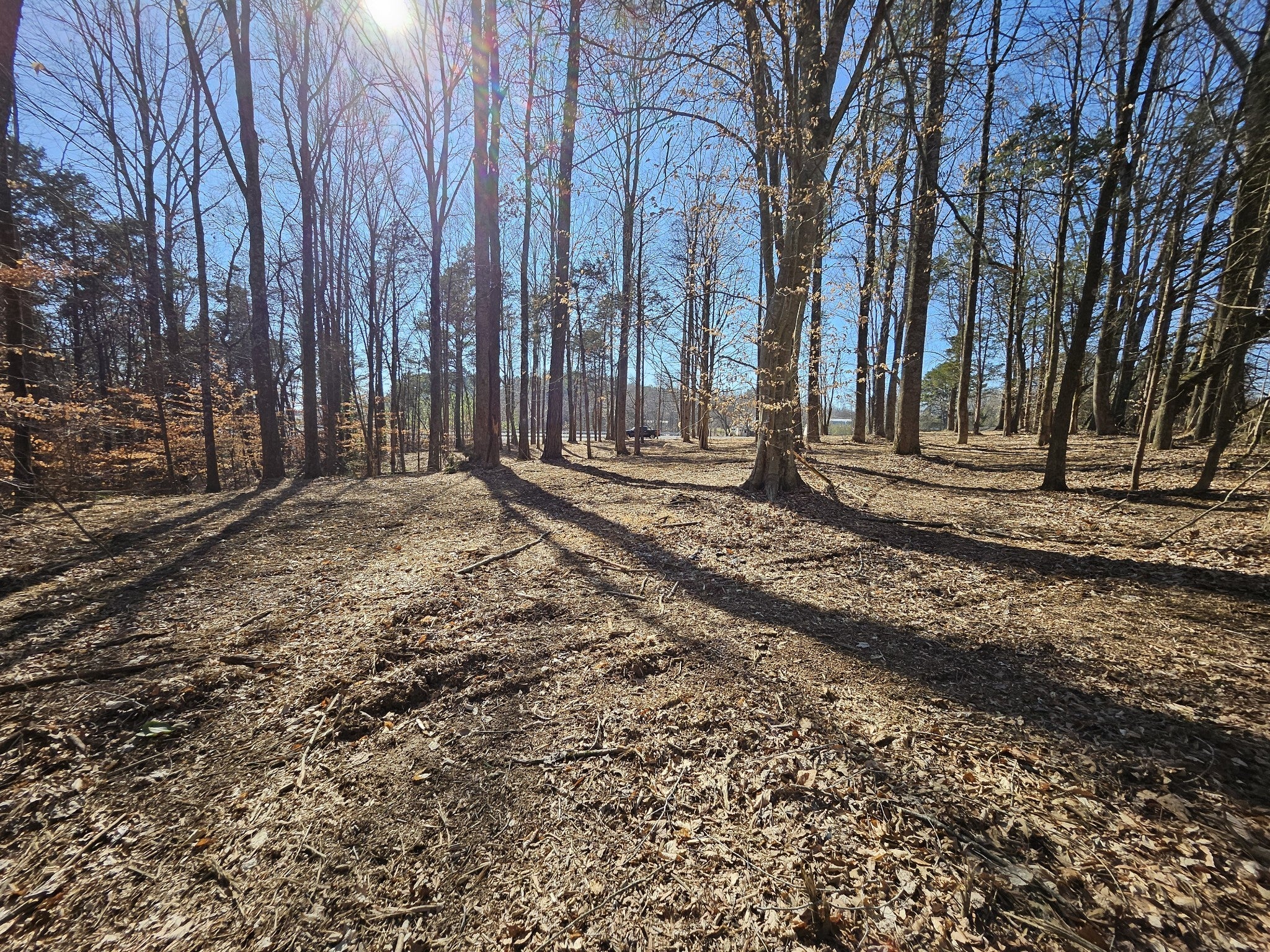 Photo of Listing #3129467