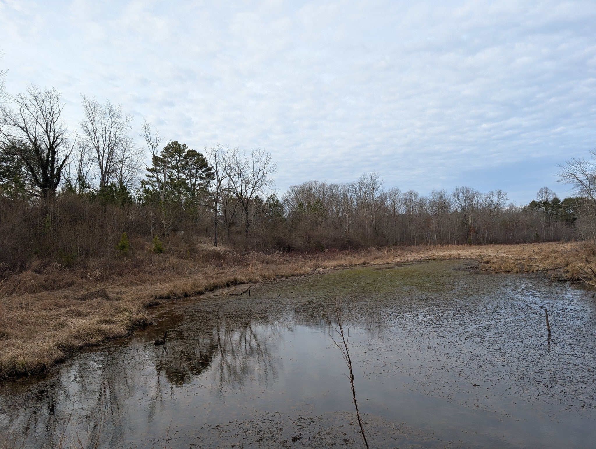 Photo of Listing #3129666