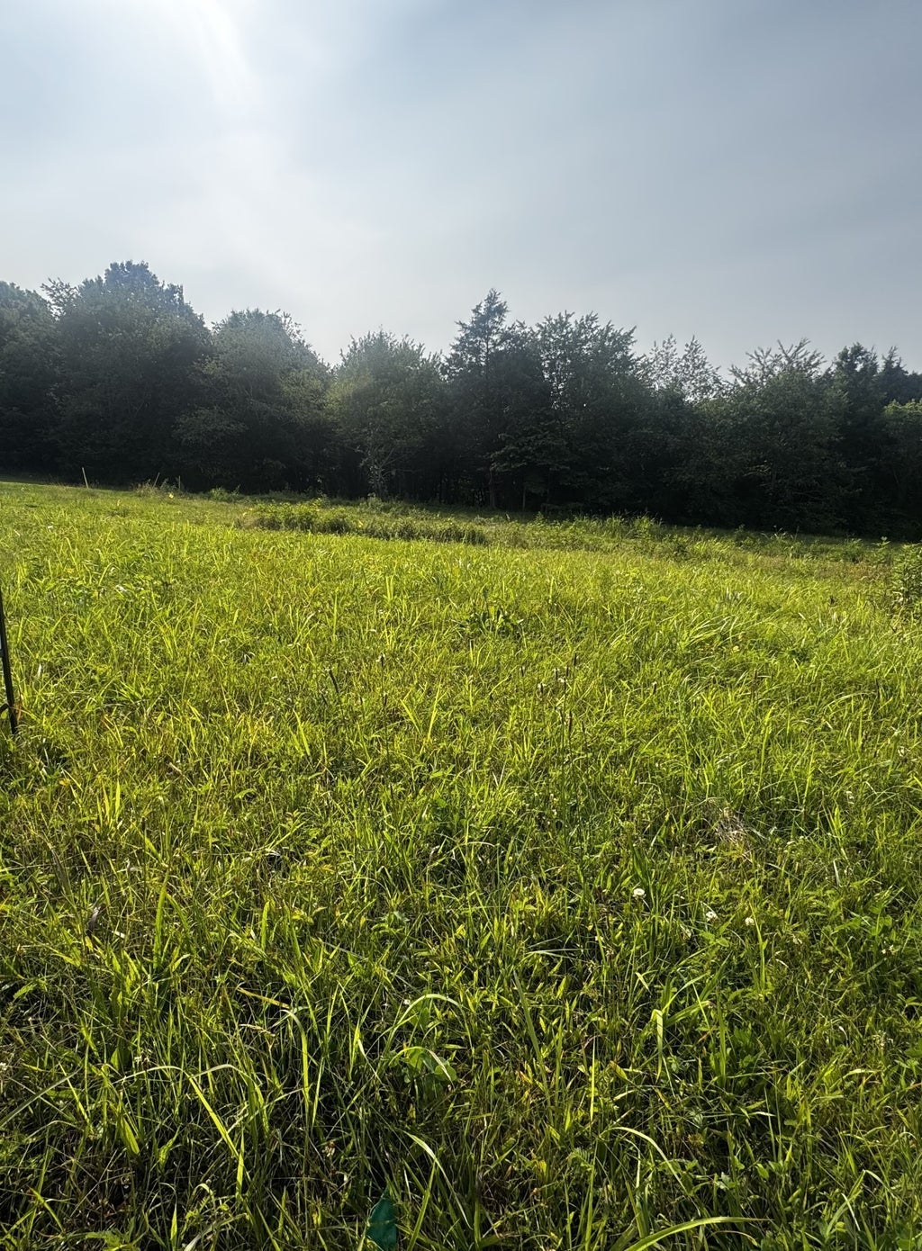 6481 Kelly Willis Rd, Greenbrier