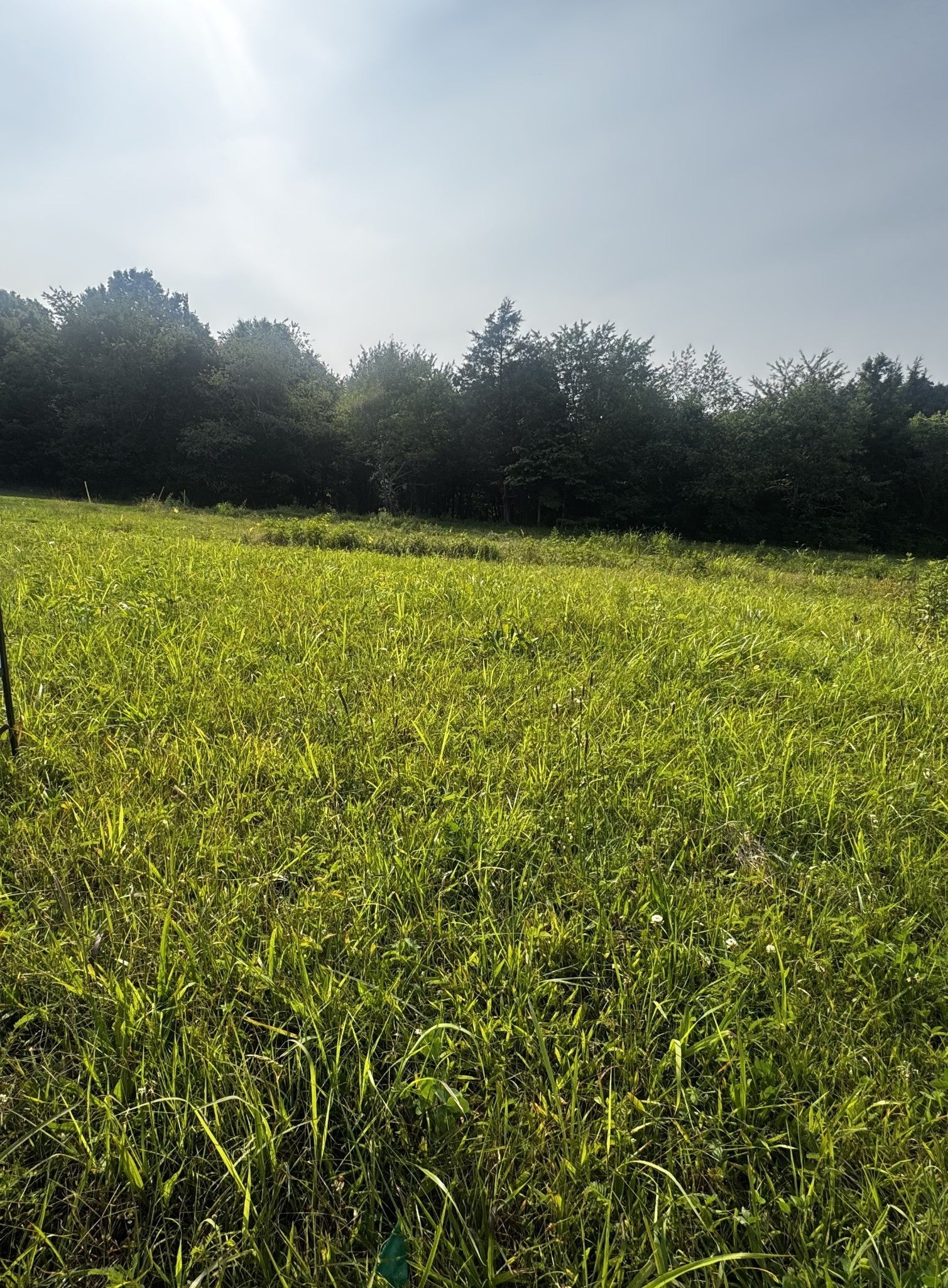 Photo of Listing #3130352