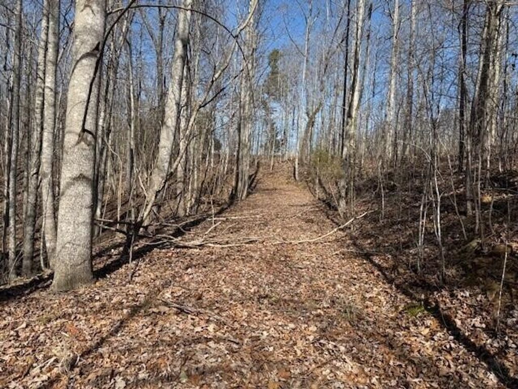 3 South Pittsburg Mountain, South Pittsburg
