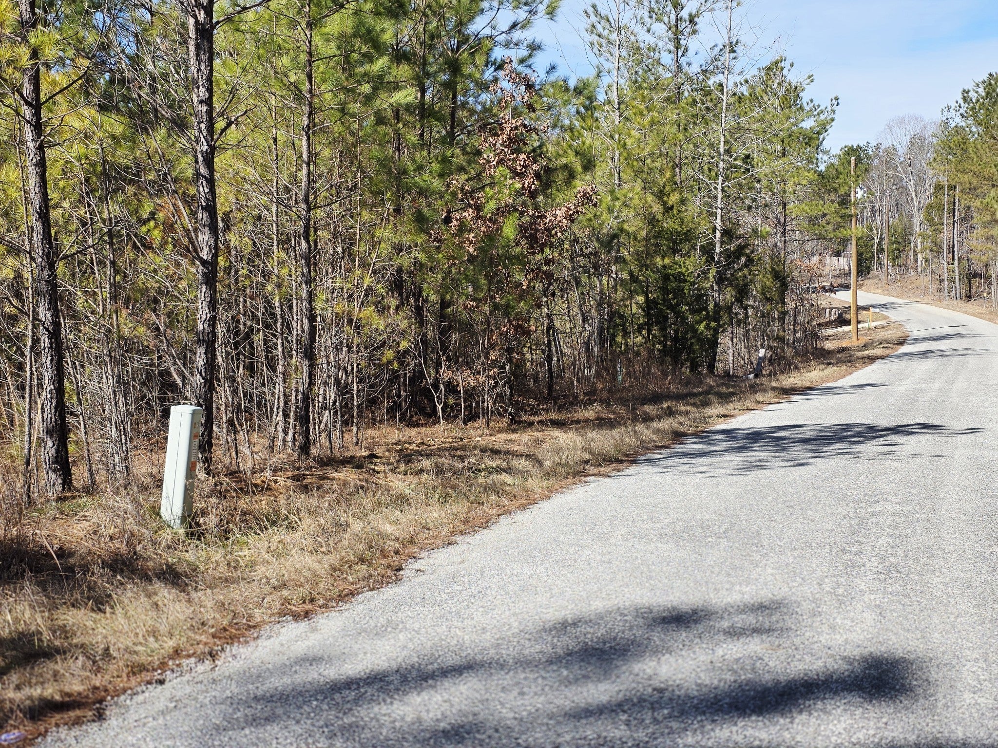 Photo of Listing #3130921